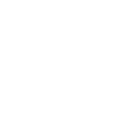 custom_website